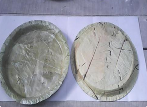 Sal Leaf Product